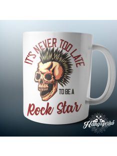 It's never too late to be a rock star bögre